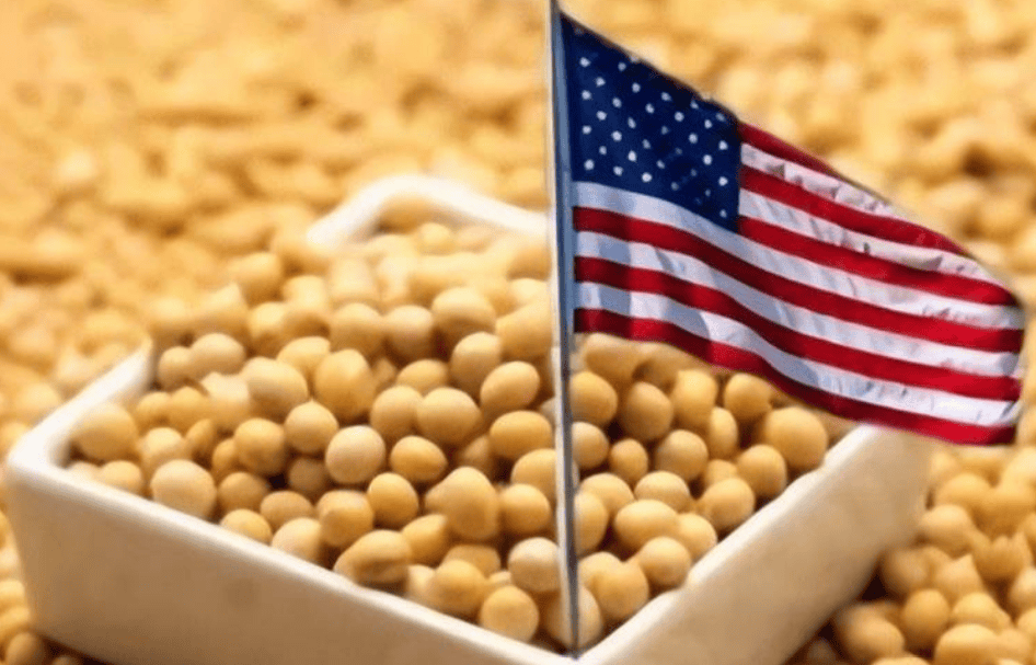 皇冠信用网开户_对华出口下降70%！特朗普大打出手皇冠信用网开户，没想到第一个倒下的竟是自己人