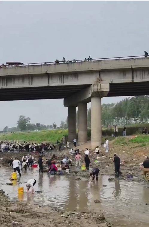 皇冠信用网APP下载_河南浚县一处河道内众人捞金？当地辟谣：捞的是花甲皇冠信用网APP下载，已劝离捕捞客