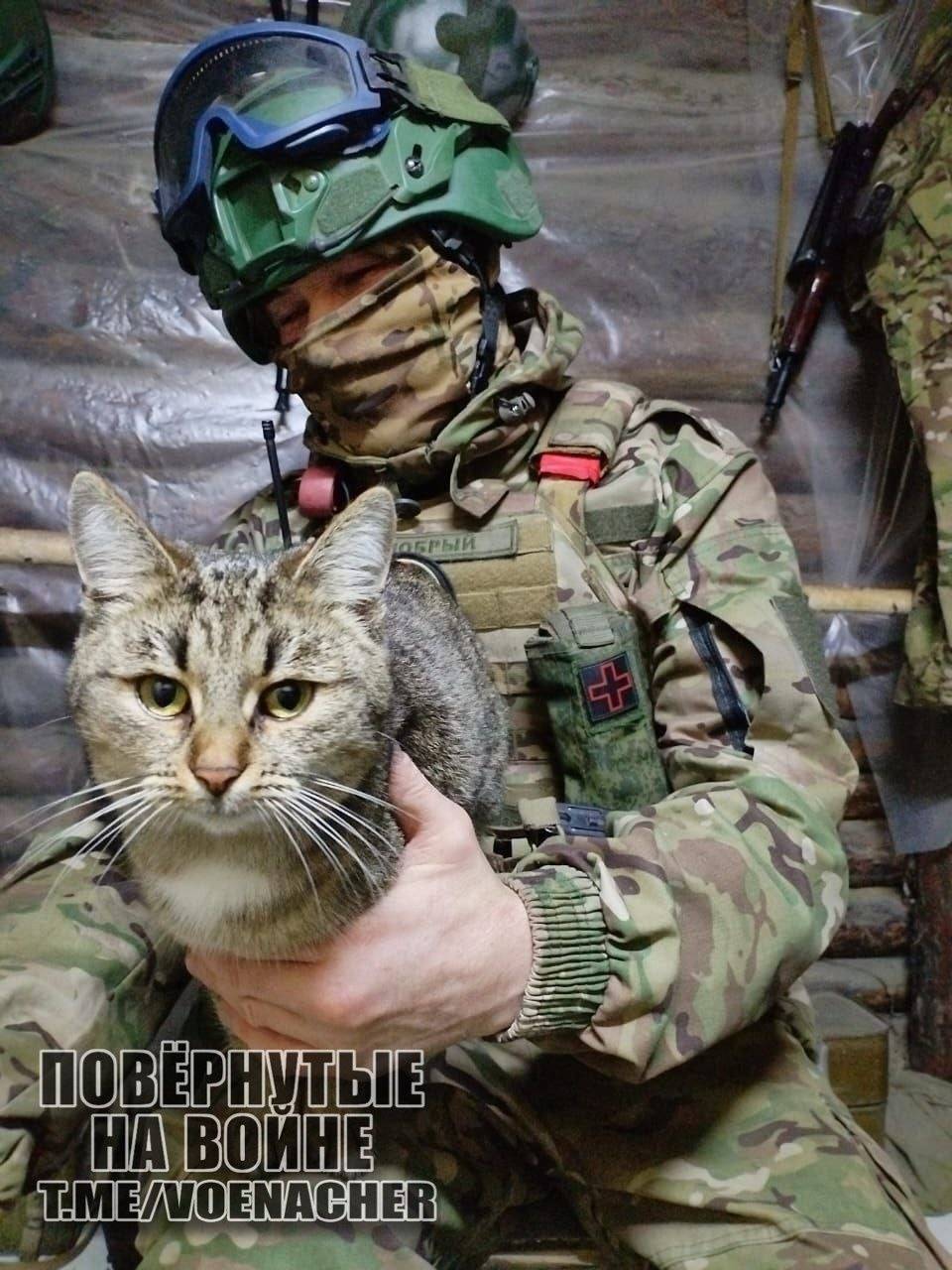 皇冠信用网登3出租
_乌克兰亚速营前参谋长：乌军前线炸锅了皇冠信用网登3出租
，俄军即将实现两次大包围