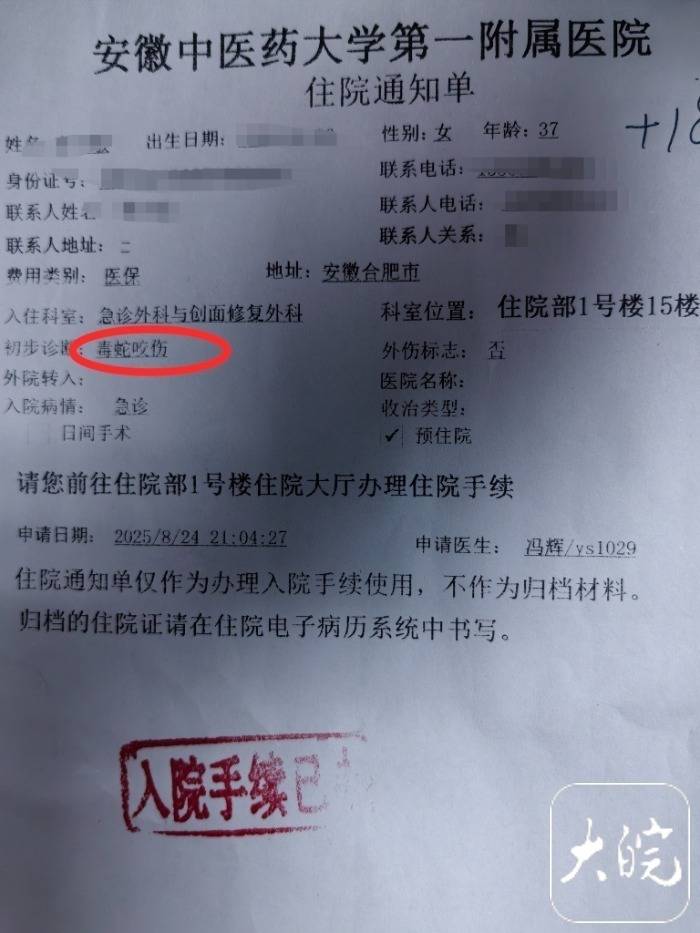 意大利甲组联赛_合肥一市民夜爬大蜀山被毒蛇咬伤 公园管理处呼吁：尽量避免夜间登山