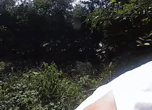 皇冠信用網最高占成
_诡异！浙江男子独自前往公墓皇冠信用網最高占成
，偷偷塞了一大笔钱！民警顺藤摸瓜还搜出了假发、人脸面具……