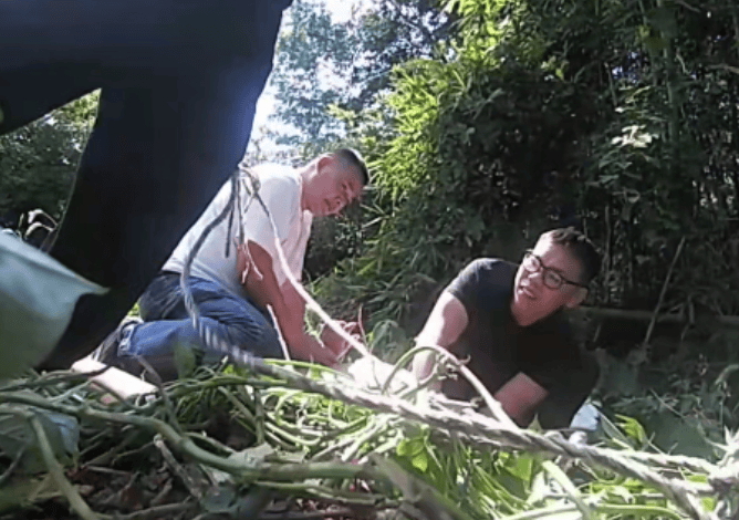 皇冠信用網最高占成
_诡异！浙江男子独自前往公墓皇冠信用網最高占成
，偷偷塞了一大笔钱！民警顺藤摸瓜还搜出了假发、人脸面具……