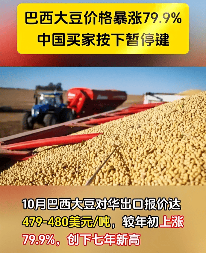 皇冠信用網去哪里弄
_反制升级了!巴西大豆被中国停购后皇冠信用網去哪里弄
,转身就对中企下狠手,中方亮明态度