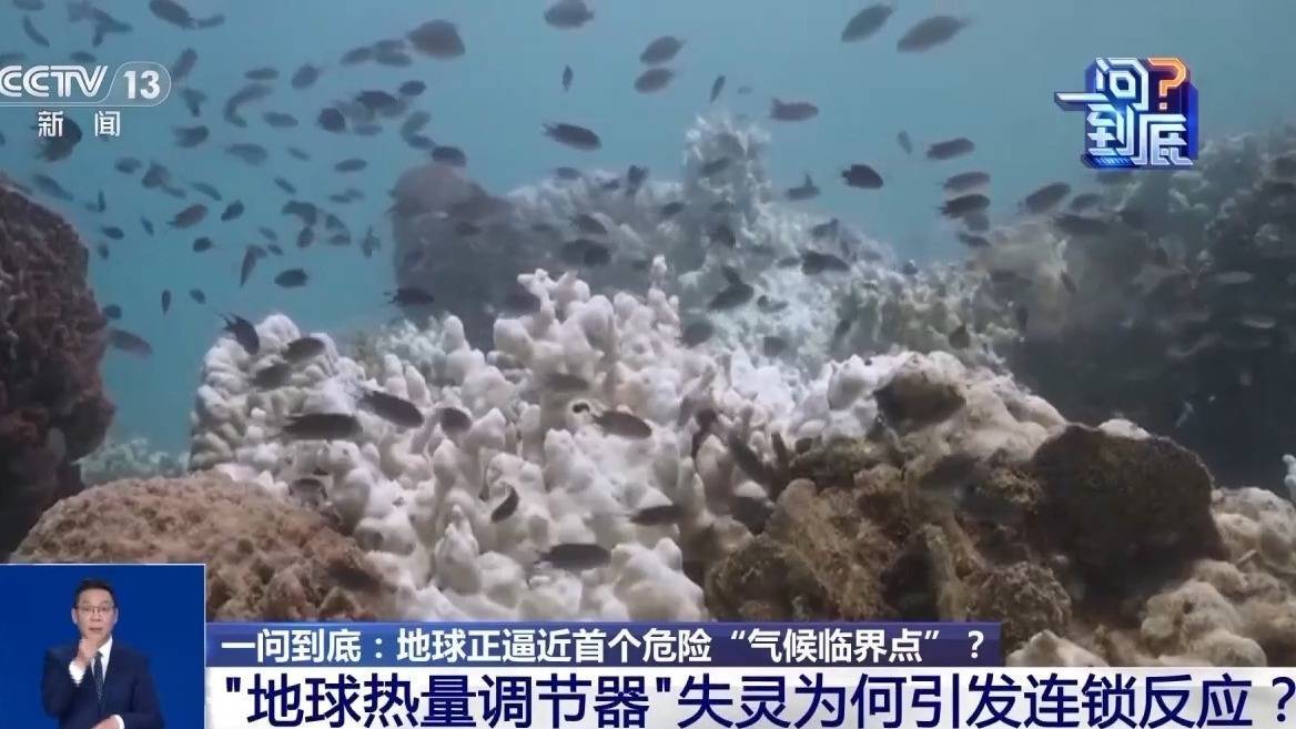 皇冠信用网怎么申请_地球正逼近首个危险“气候临界点”皇冠信用网怎么申请，会带来哪些影响？