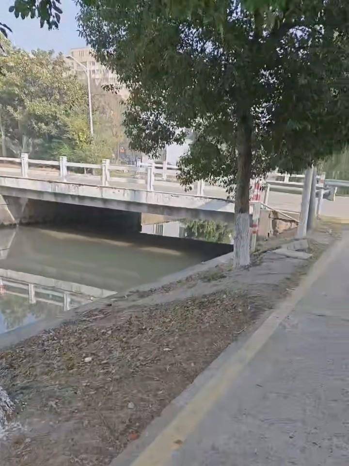 皇冠信用网如何注册_江苏一对姐妹驾三轮车不慎坠河皇冠信用网如何注册，三名老人合力施救：别人有危险帮忙是本能