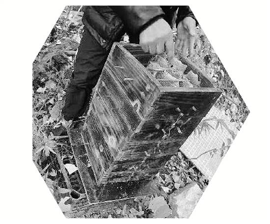 皇冠信用盘代理
_两派蜜蜂打群架皇冠信用盘代理
,伤亡惨重 民警:别打了,赔钱赔蜂蜜