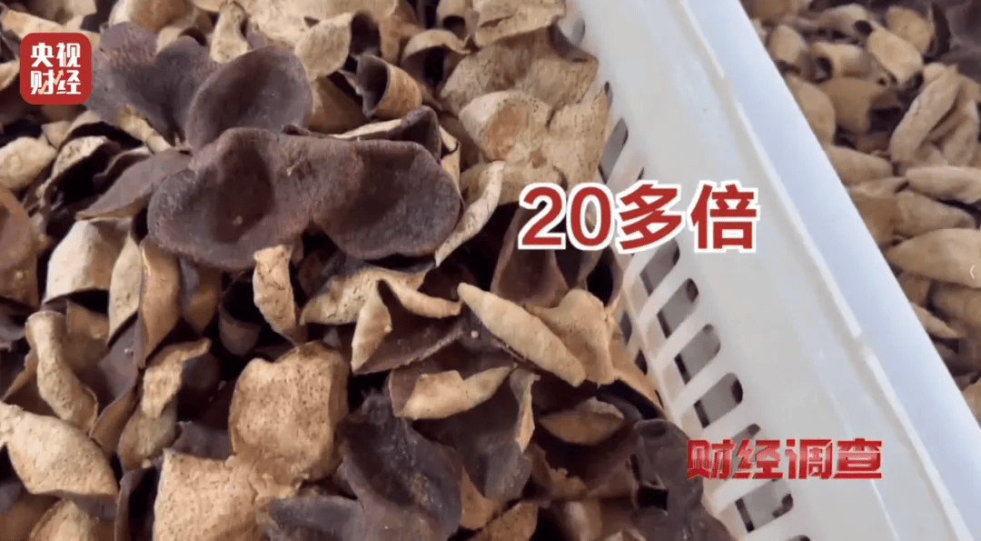 皇冠信用盘登2_广西浦北凌晨通报——