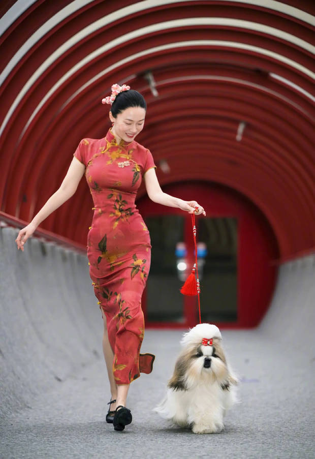 皇冠信用网去哪里弄_杜江恭喜妻子霍思燕参加国际犬展比赛夺冠：开心疯了皇冠信用网去哪里弄！创造历史！